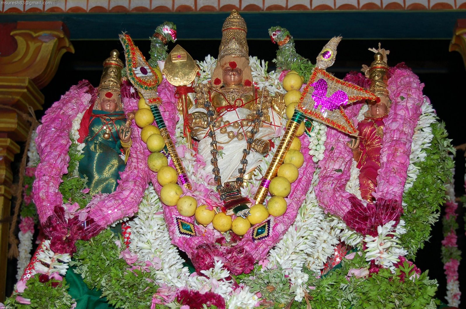 Thiruchendur Murugan Temple - AaruPadai Veedu